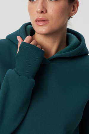 477abe9e-e643-406e-8561-7a54bc0519f2